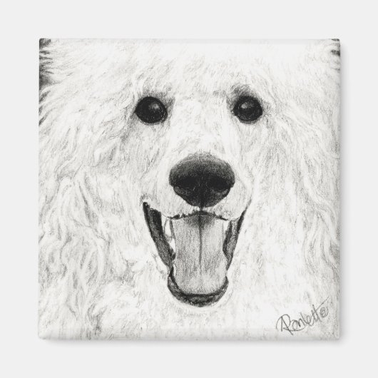 Poodle Magnet - "Jolly Boy" (Vorne)