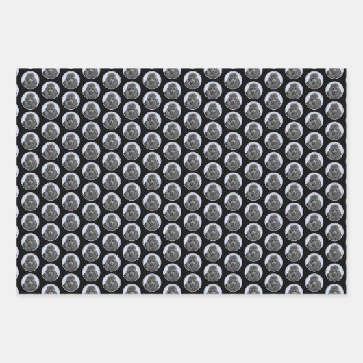 Poodle Malerei Miniaturspielzeug Schwarze Kunst Geschenkpapier Set (Vorderseite 3)