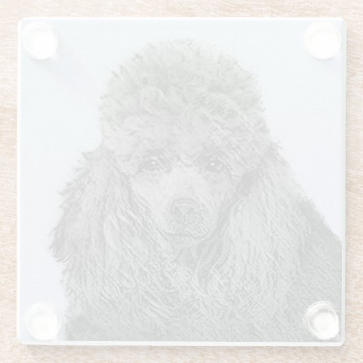 Poodle Malerei Miniaturspielzeug Schwarze Kunst Glasuntersetzer (Rückseite)