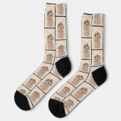 Poodle Malerei Spielzeug Apricot Creme Original Hu Socken (Linkes Detail)