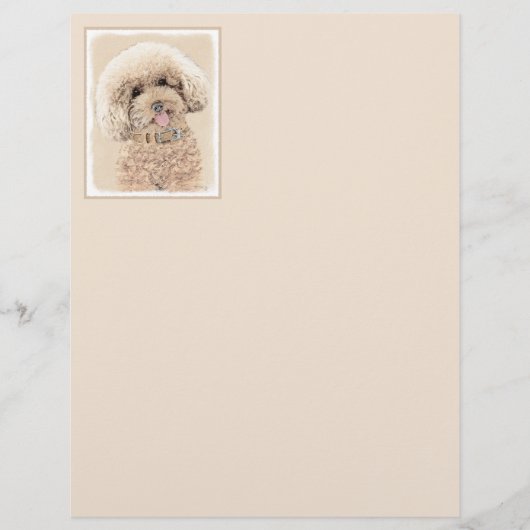 Poodle Miniatur Spielzeug Apricot Cream Brown Dog (Vorderseite)