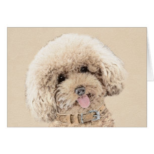Poodle Miniatur Spielzeug Apricot Cream Brown Dog