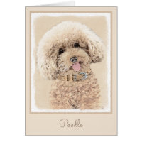 Poodle Miniatur Spielzeug Apricot Cream Brown Dog 
