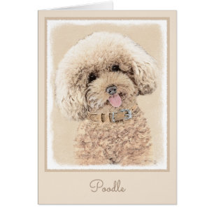 Poodle Miniatur Spielzeug Apricot Cream Brown Dog 