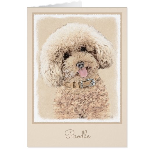 Poodle Miniatur Spielzeug Apricot Cream Brown Dog  (Vorne)