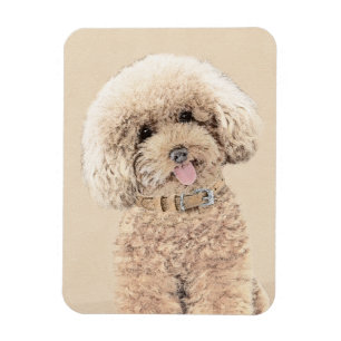Poodle Miniatur Spielzeug Apricot Cream Brown Dog Magnet