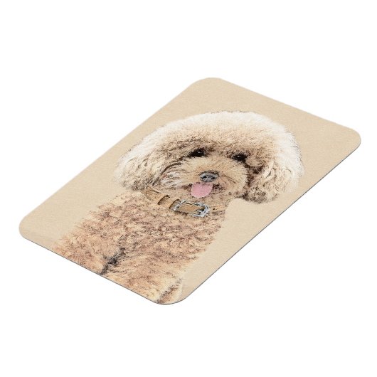 Poodle Miniatur Spielzeug Apricot Cream Brown Dog  Magnet (Linke Seite)