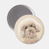 Poodle Miniatur Spielzeug Apricot Cream Brown Dog Magnet (Vorderseite/Rückseite)