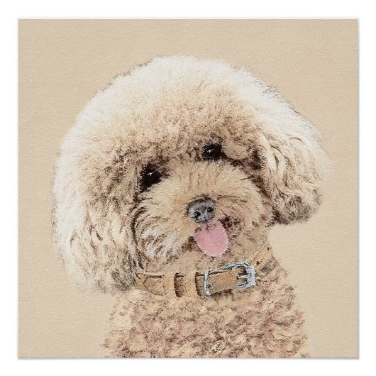 Poodle Miniatur Spielzeug Apricot Cream Brown Dog  Poster (Vorderseite)