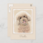 Poodle Miniatur Spielzeug Apricot Cream Brown Dog Postkarte (Vorne/Hinten)