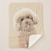 Poodle Miniatur Spielzeug Apricot Cream Brown Dog Sherpadecke (Vorderseite)