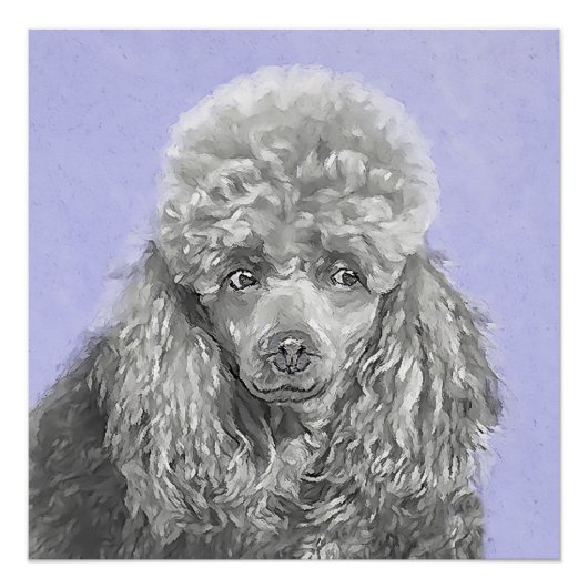 Poodle Miniatur Spielzeug Silver Gray Blue Hund Ku Poster (Vorderseite)
