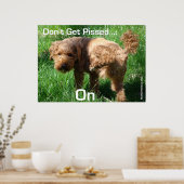Poodle - Nicht pissen - Poster (Küche)
