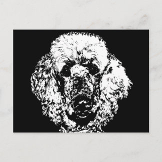 Poodle Ohrs - Postcard Postkarte