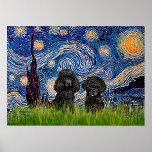 Poodle Pair (schwarz) - Starry Night Poster
