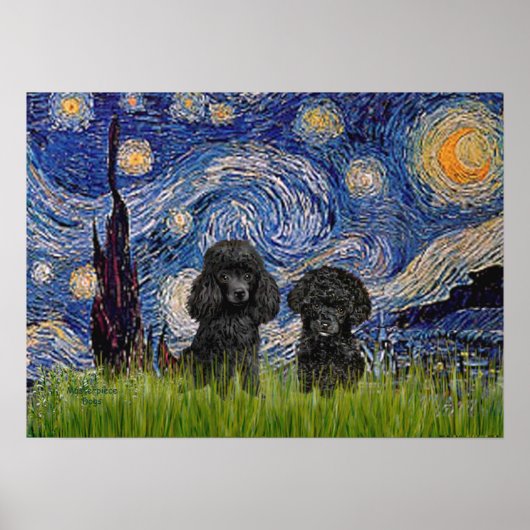 Poodle Pair (schwarz) - Starry Night Poster (Vorne)