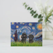 Poodle Pair (schwarz) - Starry Night Postkarte (Stehend Vorderseite)