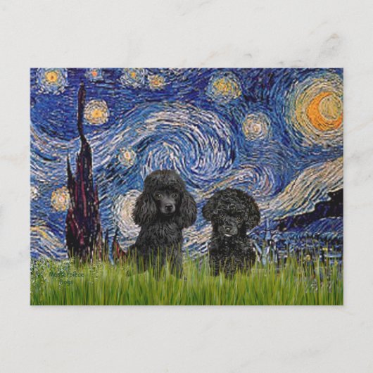 Poodle Pair (schwarz) - Starry Night Postkarte (Vorderseite)