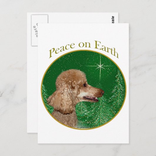Poodle Peace Postkarte (Vorne/Hinten)