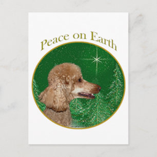 Poodle Peace Postkarte