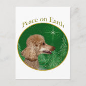 Poodle Peace Postkarte (Vorderseite)