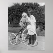 Poodle Perch, 1913 Poster (Vorne)