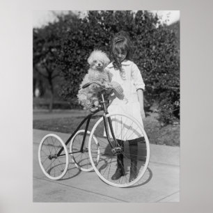 Poodle Perch, 1913 Poster