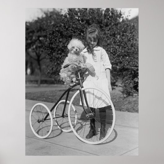 Poodle Perch, 1913 Poster (Vorne)