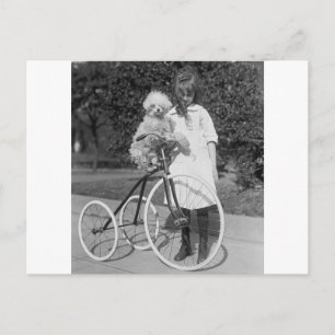 Poodle Perch, 1913 Postkarte