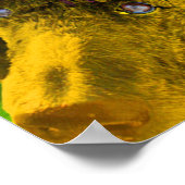 Poodle Pop Art Colorado Poster (Ecke)