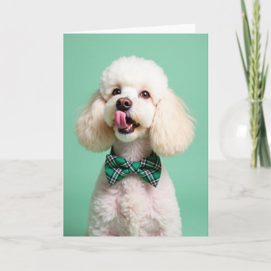 Poodle Portrait Perfect Pet Card Karte (Vorderseite)