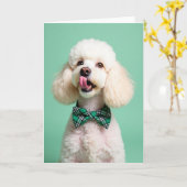 Poodle Portrait Perfect Pet Card Karte (Gelbe Blume)