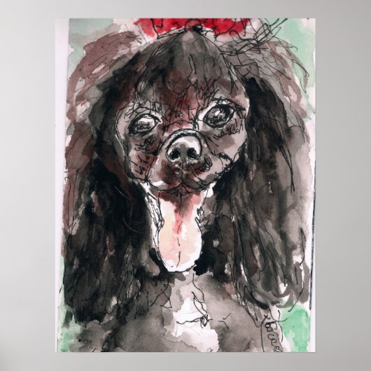 Poodle Poster (Vorne)