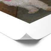 Poodle Poster (Ecke)