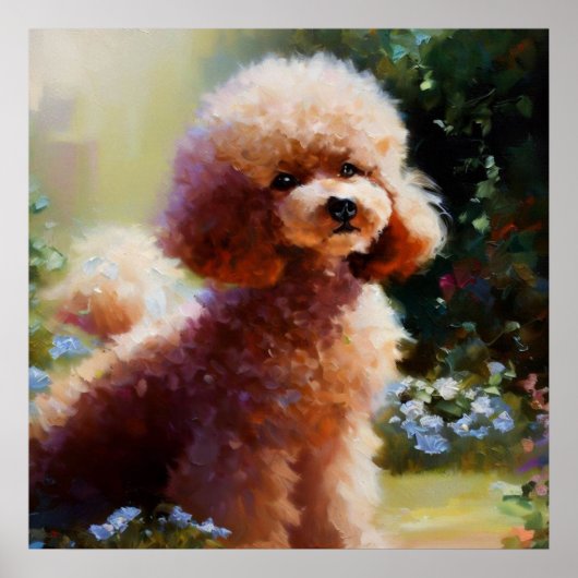 Poodle Poster (Vorne)