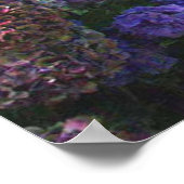 Poodle Poster Hydrangeas (Ecke)