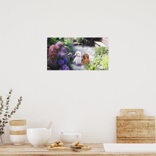 Poodle Poster Hydrangeas (Küche)
