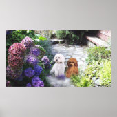 Poodle Poster Hydrangeas (Vorne)