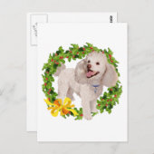 Poodle Postkarte (Vorne/Hinten)