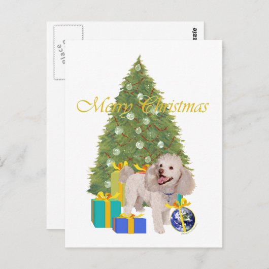 Poodle Postkarte (Vorne/Hinten)