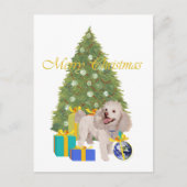 Poodle Postkarte (Vorderseite)