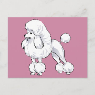 Poodle Postkarte