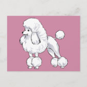 Poodle Postkarte (Vorderseite)