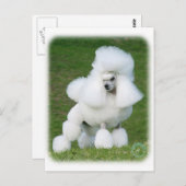 Poodle Postkarte (Vorne/Hinten)