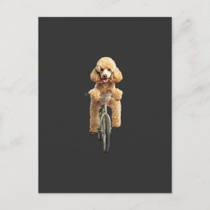 Poodle postkarte