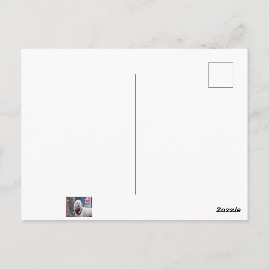 Poodle Postkarte (Rückseite)