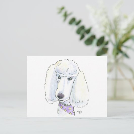 Poodle Postkarte (Stehend Vorderseite)