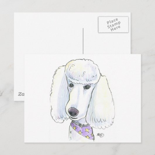 Poodle Postkarte (Vorne/Hinten)