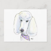 Poodle Postkarte (Vorderseite)