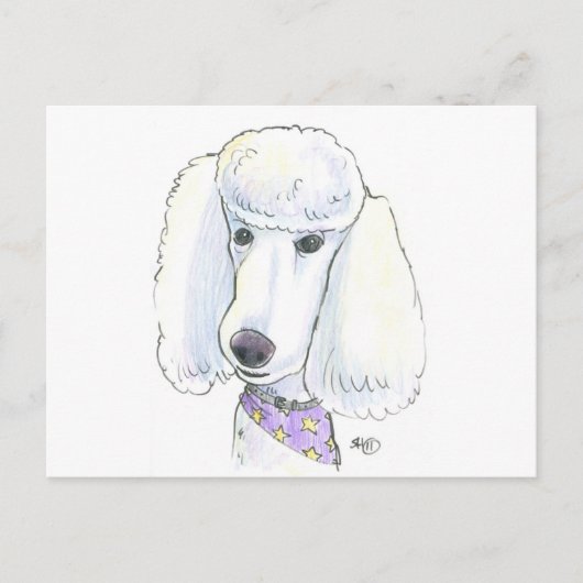 Poodle Postkarte (Vorderseite)